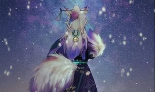 阴阳师妖狐 阴阳师妖狐